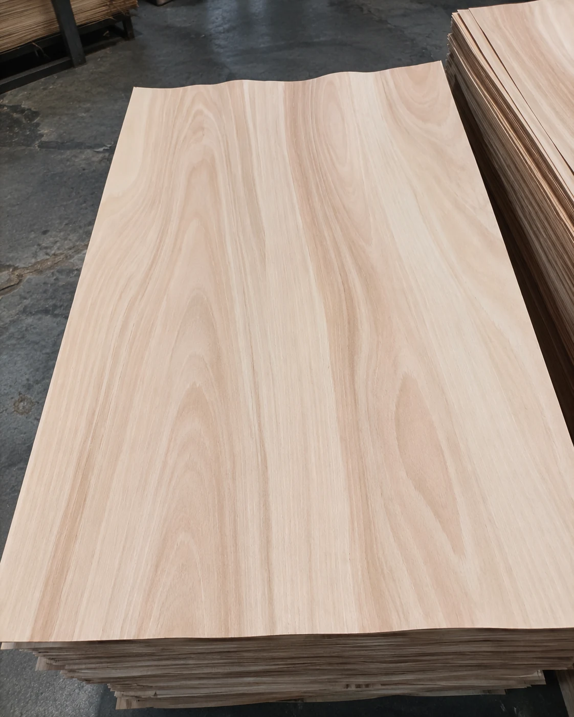 Eucalyptus rotary-cut veneer product view