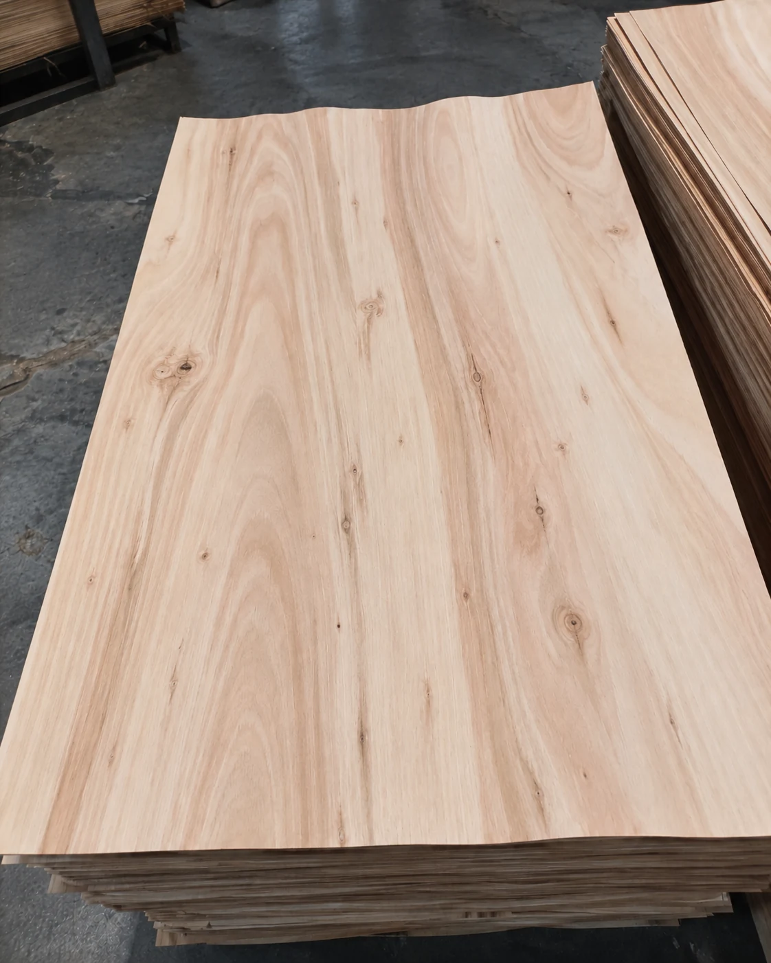 Eucalyptus rotary-cut veneer – Grade B appearance