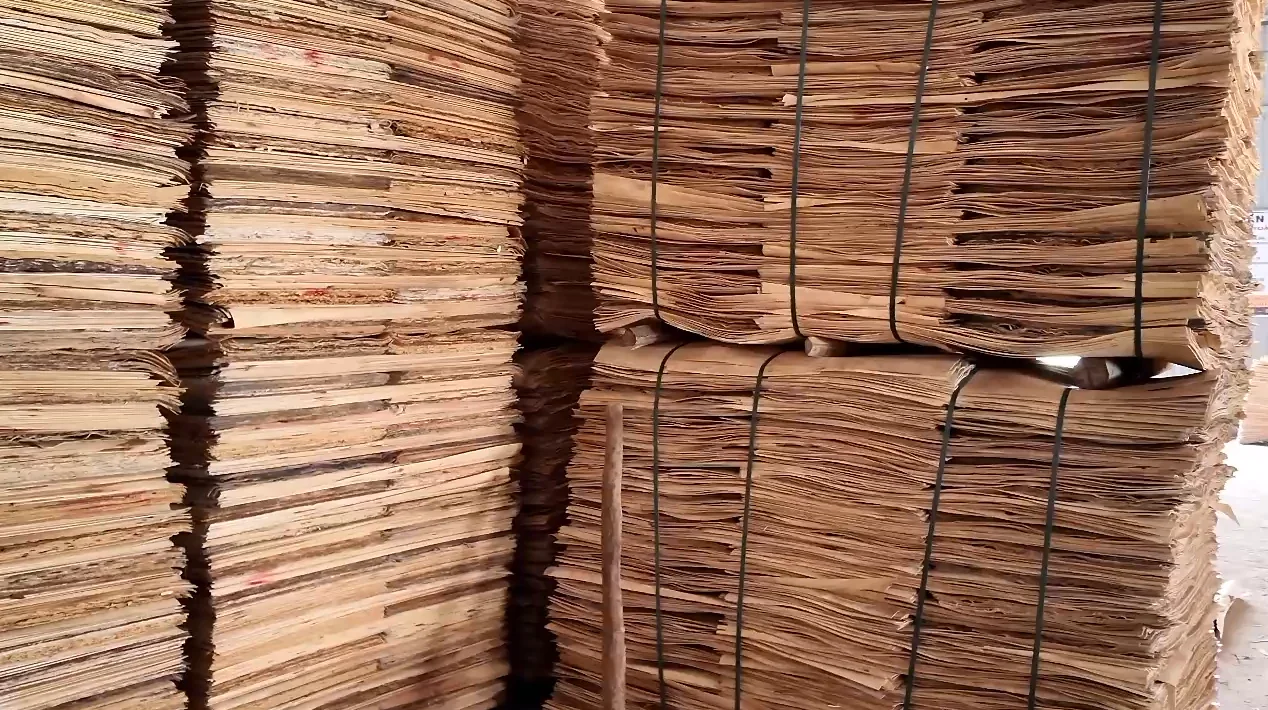 Large stacked bundles of rotary-cut veneer secured for handling