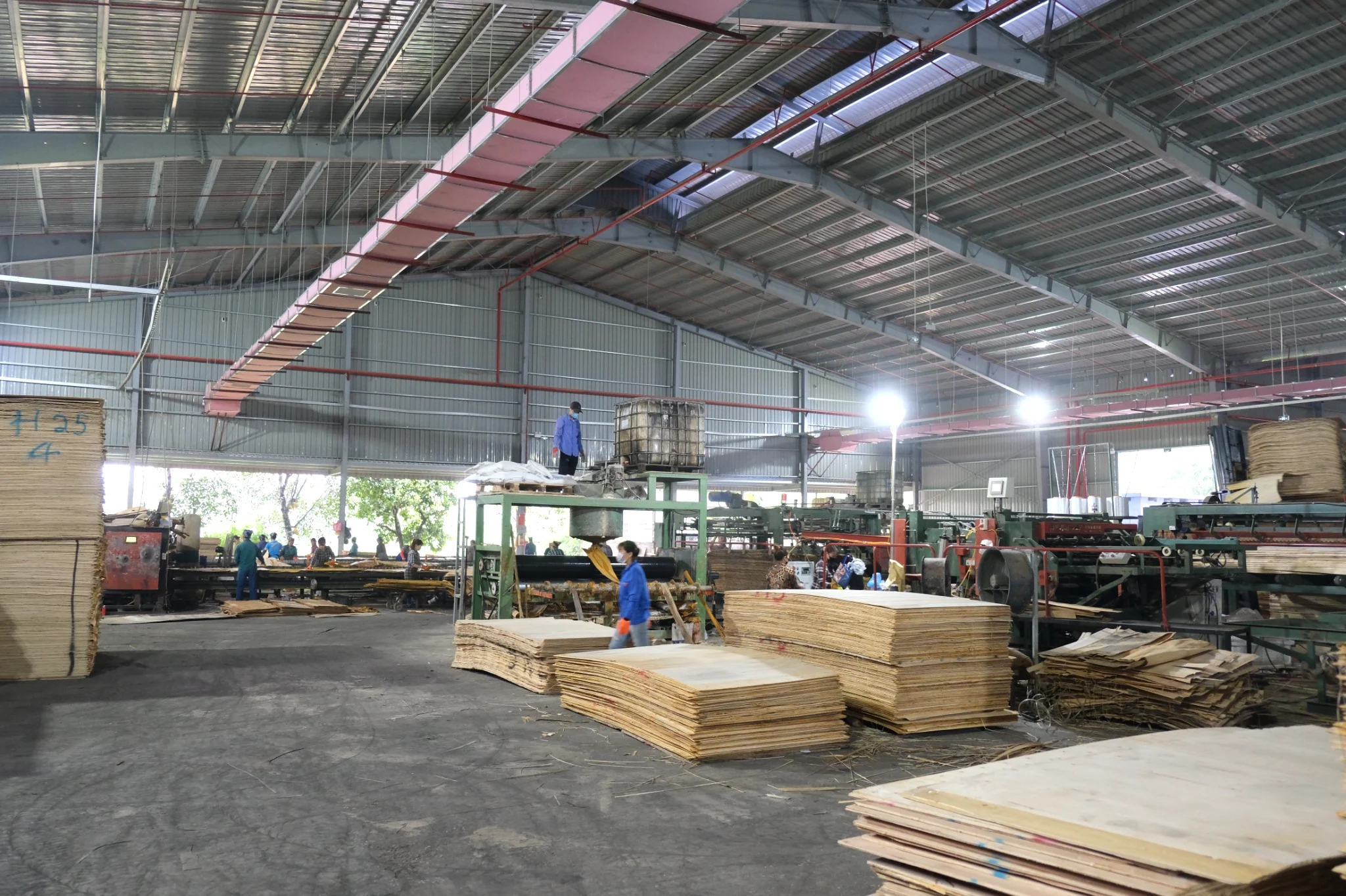 Real wood veneer production workshop in Vietnam